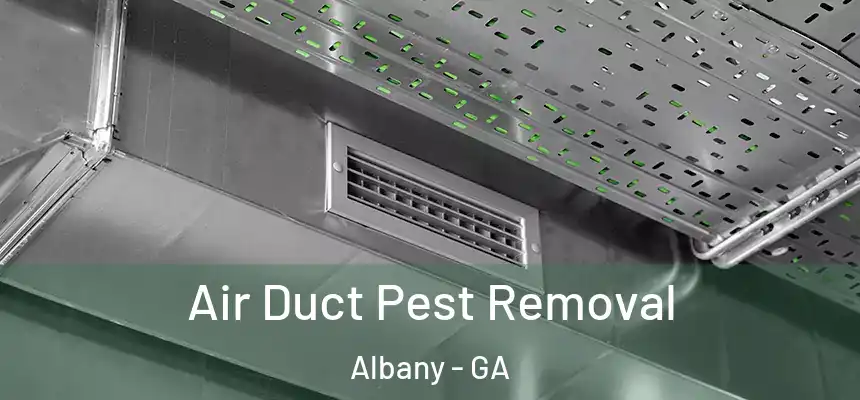 Air Duct Pest Removal Albany - GA