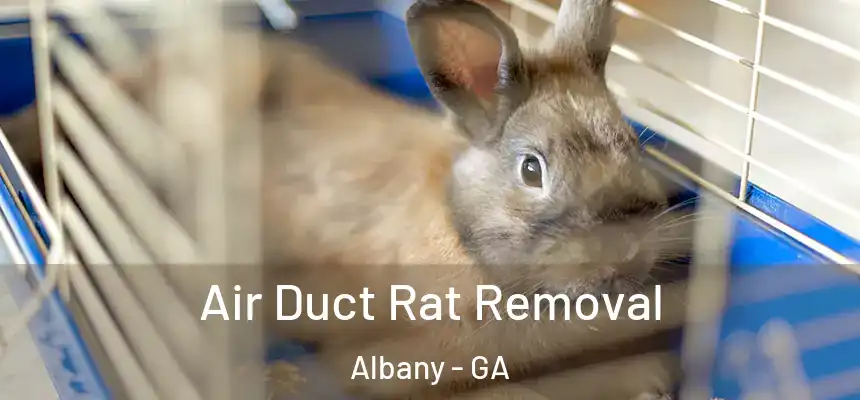 Air Duct Rat Removal Albany - GA