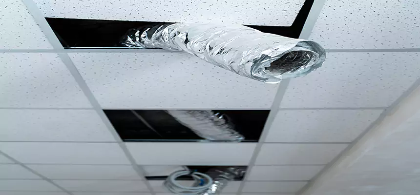 Our Air Duct Pet Hair Removal Services in Albany, GA