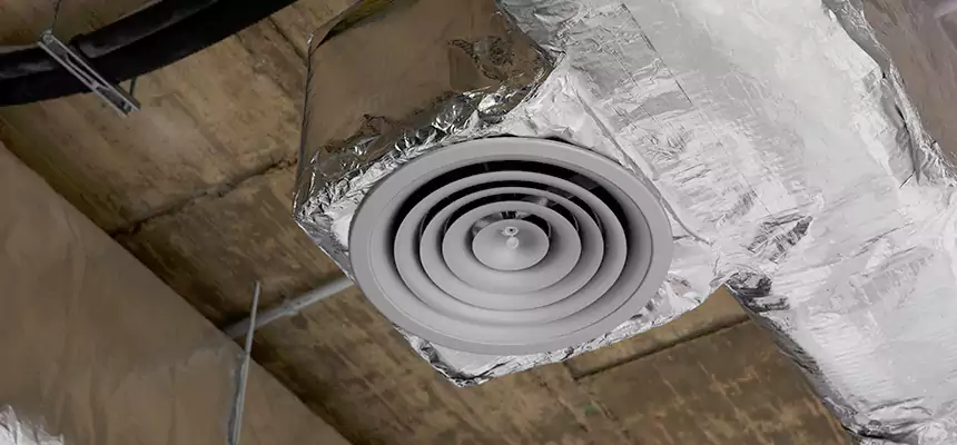 Our Excess Lint Removal from Dryer Ducts Services in Albany, GA