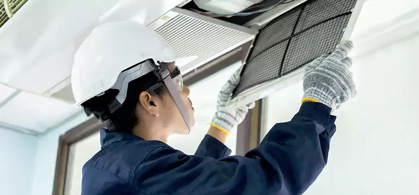 Our Mold & Mildew Removal from Air Ducts Services in Albany, GA