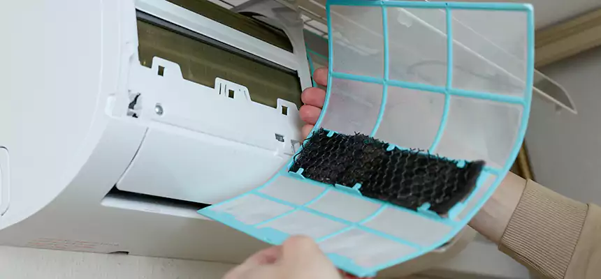 Gentle Ductwork Odor-Control Pet Dander Duct Cleaning in Albany, GA