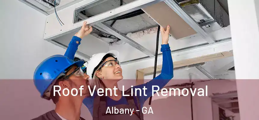  Roof Vent Lint Removal Albany - GA