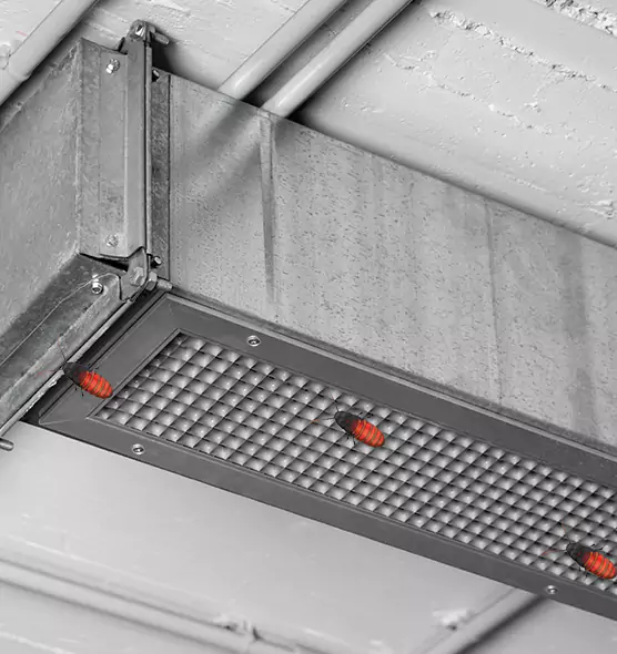 About Air Duct Cockroach Removal in Albany, GA