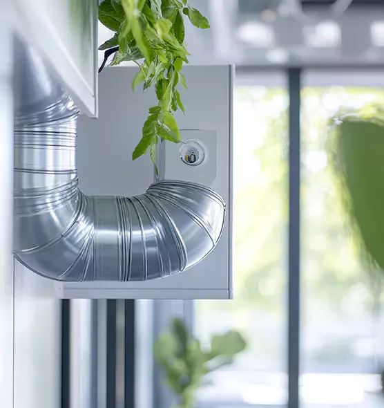 Professional Eco-Safe Dryer Vent Cleaning in Albany, GA