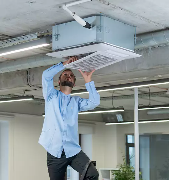 Advanced Rodent Droppings In Vents in Albany, GA