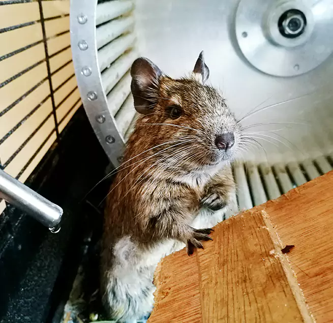 Why Homeowners & Businesses Trust Us Albany, GA