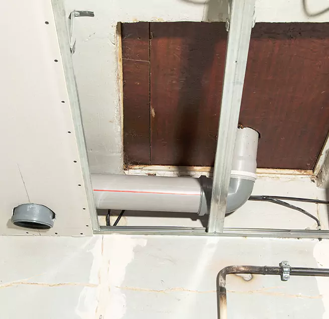 Why Homeowners & Businesses Trust Us in Albany, GA?