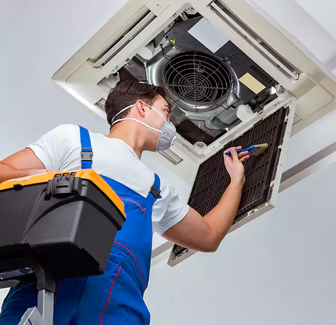 Why Homeowners & Businesses Trust Us in Albany, GA