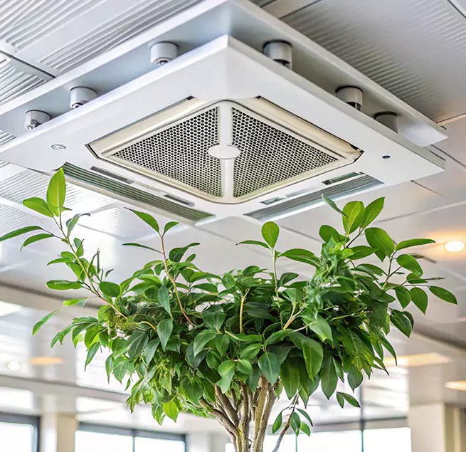 Why Homeowners & Businesses Trust Us in Albany, GA?