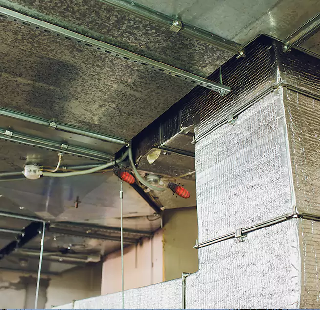 Why Homeowners & Businesses Trust Us Albany, GA?