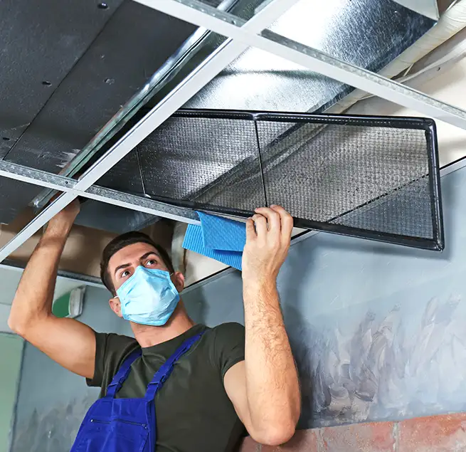 Why Homeowners & Businesses Trust Us in Albany, GA?