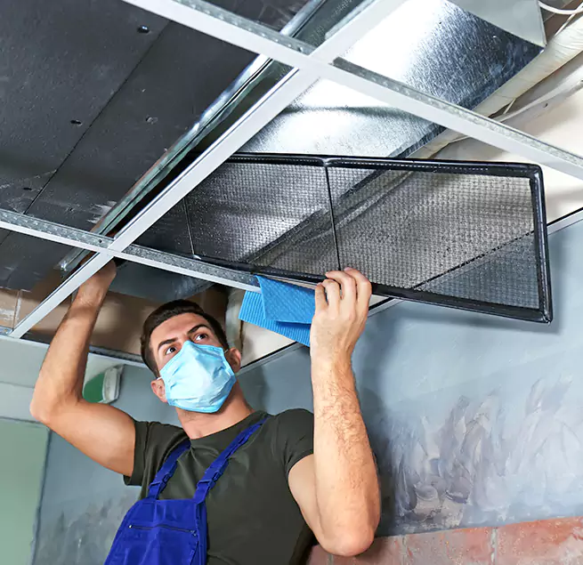  Why Homeowners Businesses Trust Us  in Albany, GA?